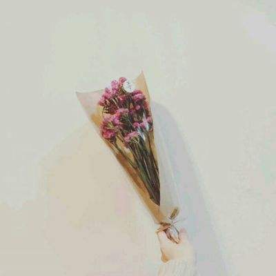 偶像学院九游版下载