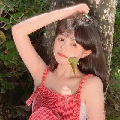 花与剑网易版下载